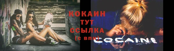 a pvp Шали