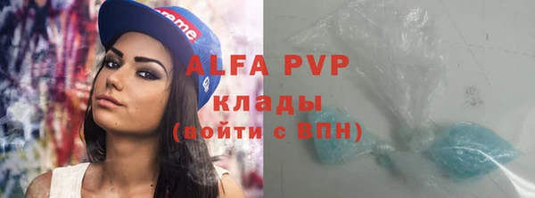 индика Нязепетровск