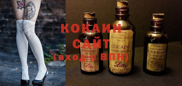 шишки Нягань
