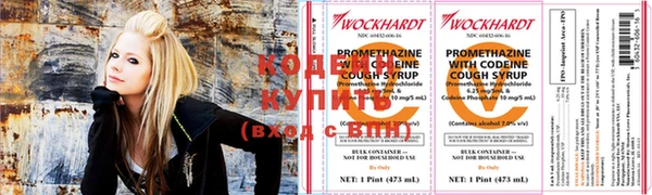 индика Нязепетровск