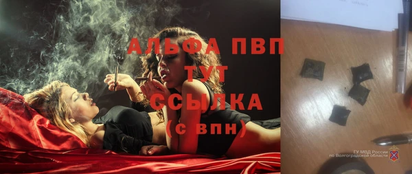 дживик Аркадак