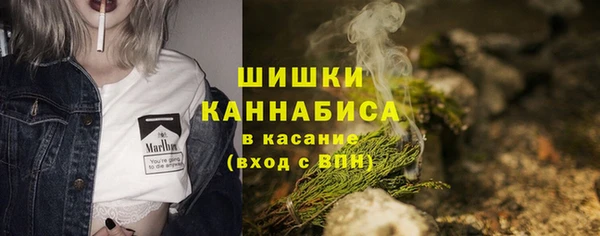 индика Нязепетровск