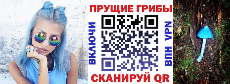наркота Циолковский Псилоцибиновые грибы Magic Shrooms