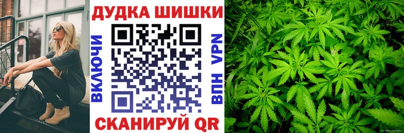 Шишки марихуана индика  где купить наркоту  ссылка на мегу зеркало  Циолковский 